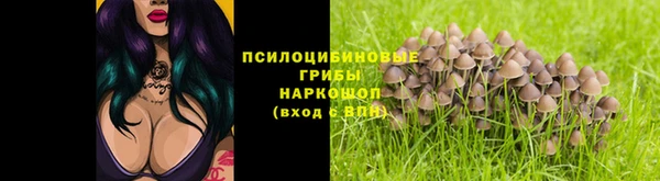прущая мука Алексин
